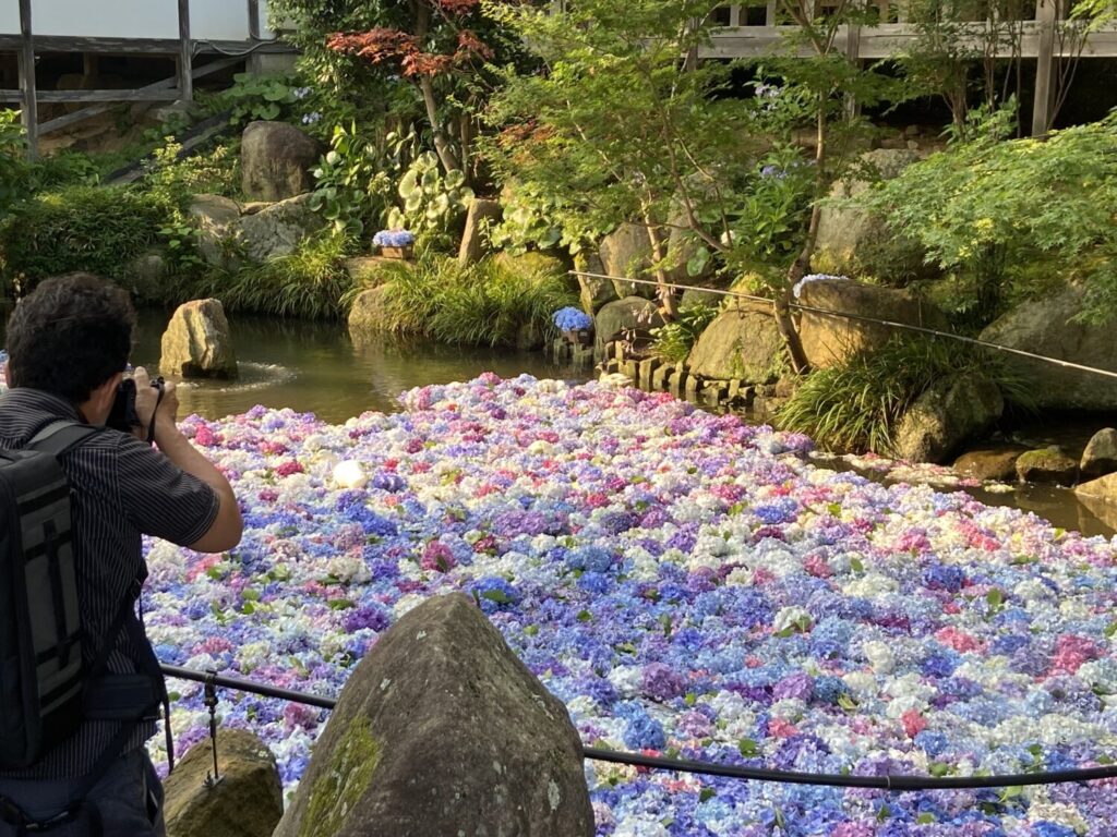 雨引山の水中華（2023年）